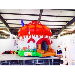 Inflatable Mushroom Castle