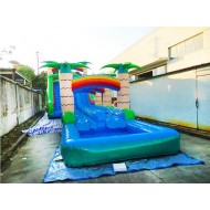 Inflatable Dual Lane Tropical Water Slide