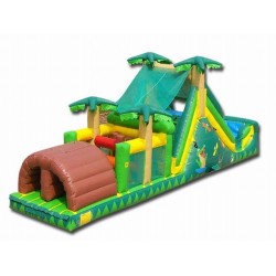 Backyard Tropical Obstacle